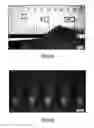 Fig. 07 - Substance delivery device and substance delivery method using the same