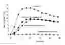 Fig. 02 - Patch