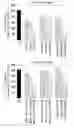 Fig. 01 - Cosmetic composition for preventing or ameliorating hypersensitive skin comprising cedrol or derivatives thereof, or pharmaceutically acceptable salts thereof