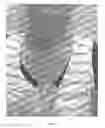 Fig. 02 - Formulations for epidermal repair
