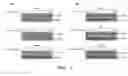 Fig. 02 - PHARMACEUTICAL COMPOSITION FOR INDUCING EXERCISE MIMETIC EFFECT