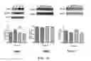 Fig. 06 - PHARMACEUTICAL COMPOSITION FOR INDUCING EXERCISE MIMETIC EFFECT