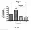 Fig. 09 - PHARMACEUTICAL COMPOSITION FOR INDUCING EXERCISE MIMETIC EFFECT