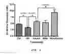 Fig. 12 - PHARMACEUTICAL COMPOSITION FOR INDUCING EXERCISE MIMETIC EFFECT