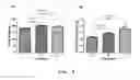 Fig. 15 - PHARMACEUTICAL COMPOSITION FOR INDUCING EXERCISE MIMETIC EFFECT