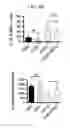 Fig. 08 - Graphene nanostructure-based pharmaceutical composition for preventing or treating neurodegenerative diseases