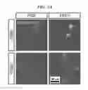 Fig. 09 - Graphene nanostructure-based pharmaceutical composition for preventing or treating neurodegenerative diseases