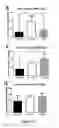 Fig. 40 - Methods and Compositions for the Intravenous Administration of Fumarates for the Treatment of Neurological Diseases