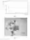 Fig. 08 - Pharmaceutical co-crystal and use thereof