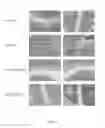 Fig. 08 - Nuclear transport modulators and uses thereof