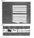 Fig. 35 - K-Ras modulators
