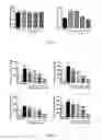 Fig. 08 - MAPK inhibitors
