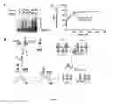 Fig. 02 - Methods for inducing apoptosis in cancer cells