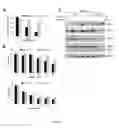 Fig. 09 - Methods for inducing apoptosis in cancer cells
