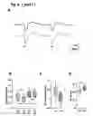 Fig. 09 - LPA LEVEL REDUCTION FOR TREATING CENTRAL NERVOUS SYSTEM DISORDERS