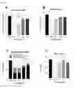 Fig. 05 - COMPOSITIONS FOR TREATING SPINAL MUSCULAR ATROPHY