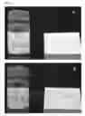 Fig. 08 - COMPOSITIONS FOR TREATING SPINAL MUSCULAR ATROPHY