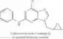 Fig. 09 - FUSED IMIDAZOLE COMPOUNDS