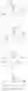 Fig. 486 - Compounds that inhibit MCL-1 protein