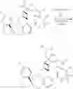 Fig. 528 - Compounds that inhibit MCL-1 protein