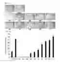 Fig. 02 - Composition for preventing or treating vascular leak syndrome