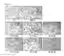 Fig. 04 - Composition for preventing or treating vascular leak syndrome