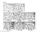 Fig. 06 - Composition for preventing or treating vascular leak syndrome