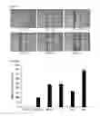 Fig. 11 - Composition for preventing or treating vascular leak syndrome