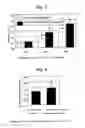 Fig. 06 - AGENT FOR APPLYING TO MUCOSA AND METHOD FOR THE PRODUCTION THEREOF