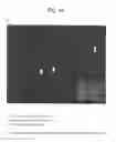 Fig. 13 - AGENT FOR APPLYING TO MUCOSA AND METHOD FOR THE PRODUCTION THEREOF