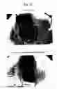 Fig. 16 - AGENT FOR APPLYING TO MUCOSA AND METHOD FOR THE PRODUCTION THEREOF