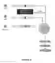 Fig. 23 - Engineered meganucleases with recognition sequences found in the human T cell receptor alpha constant region gene