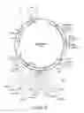 Fig. 40 - Engineered meganucleases with recognition sequences found in the human T cell receptor alpha constant region gene