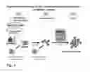 Fig. 04 - Method for preparing genetically-modified T cells which express chimeric antigen receptor