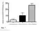 Fig. 08 - Method for preparing genetically-modified T cells which express chimeric antigen receptor