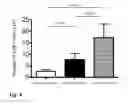 Fig. 09 - Method for preparing genetically-modified T cells which express chimeric antigen receptor