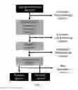 Fig. 02 - Spore-Based Probiotic Composition for Reduction of Dietary Endotoxemia and Related Methods