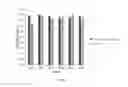 Fig. 08 - Spore-Based Probiotic Composition for Reduction of Dietary Endotoxemia and Related Methods