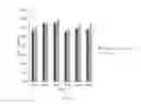 Fig. 09 - Spore-Based Probiotic Composition for Reduction of Dietary Endotoxemia and Related Methods