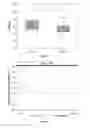 Fig. 06 - Composition containing lactic acid bacteria and its use to treat atopic dermatitis