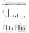 Fig. 24 - Composition for preventing or treating cranial nerve disease comprising fomes fomentarius extract, fraction thereof, or compound isolated therefrom as active ingredient