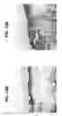 Fig. 20 - Compositions and methods for invasive and non-invasive procedural skincare