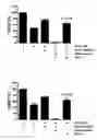 Fig. 01 - Proteins for the treatment of epithelial barrier function disorders