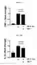 Fig. 03 - Proteins for the treatment of epithelial barrier function disorders