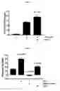 Fig. 05 - Proteins for the treatment of epithelial barrier function disorders