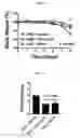 Fig. 07 - Proteins for the treatment of epithelial barrier function disorders