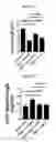 Fig. 09 - Proteins for the treatment of epithelial barrier function disorders