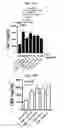 Fig. 19 - Proteins for the treatment of epithelial barrier function disorders