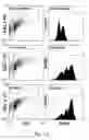Fig. 02 - MODIFIED COLLAGEN COMPOSITIONS FOR MODULATION OF JNK