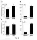 Fig. 07 - MODIFIED COLLAGEN COMPOSITIONS FOR MODULATION OF JNK
